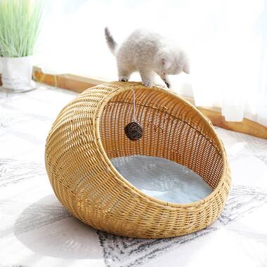 Wicker best sale cat dome